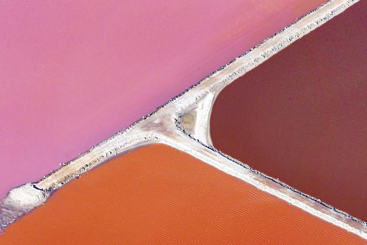 The pink lagoon: More than meets the eye