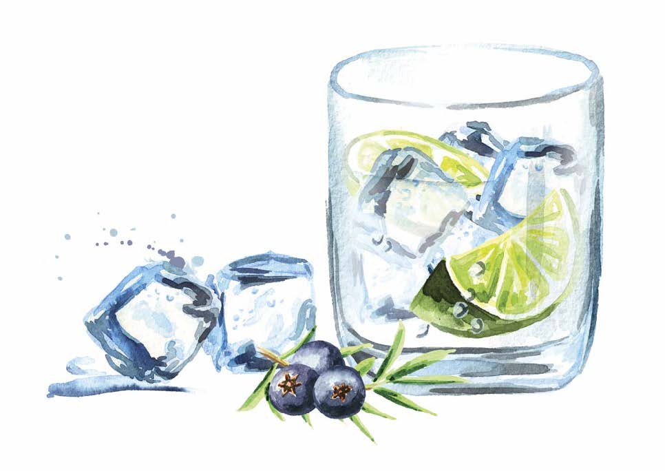 Gin production: art and science