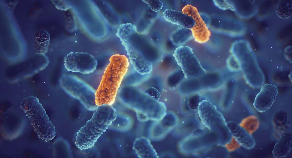 A new class of antibiotics