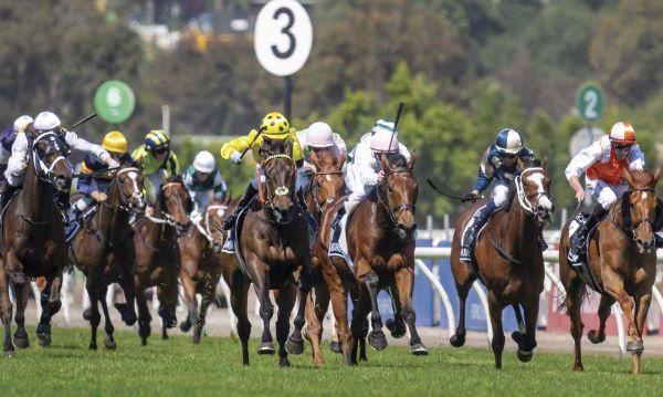 Chemistry that underpins the integrity of the Melbourne Cup